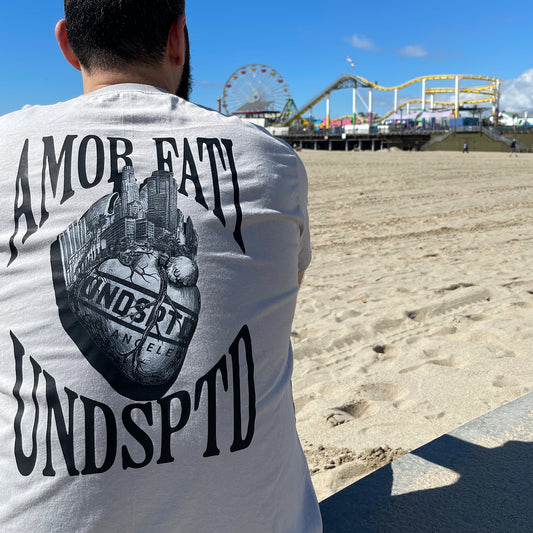 Amor Fati Design