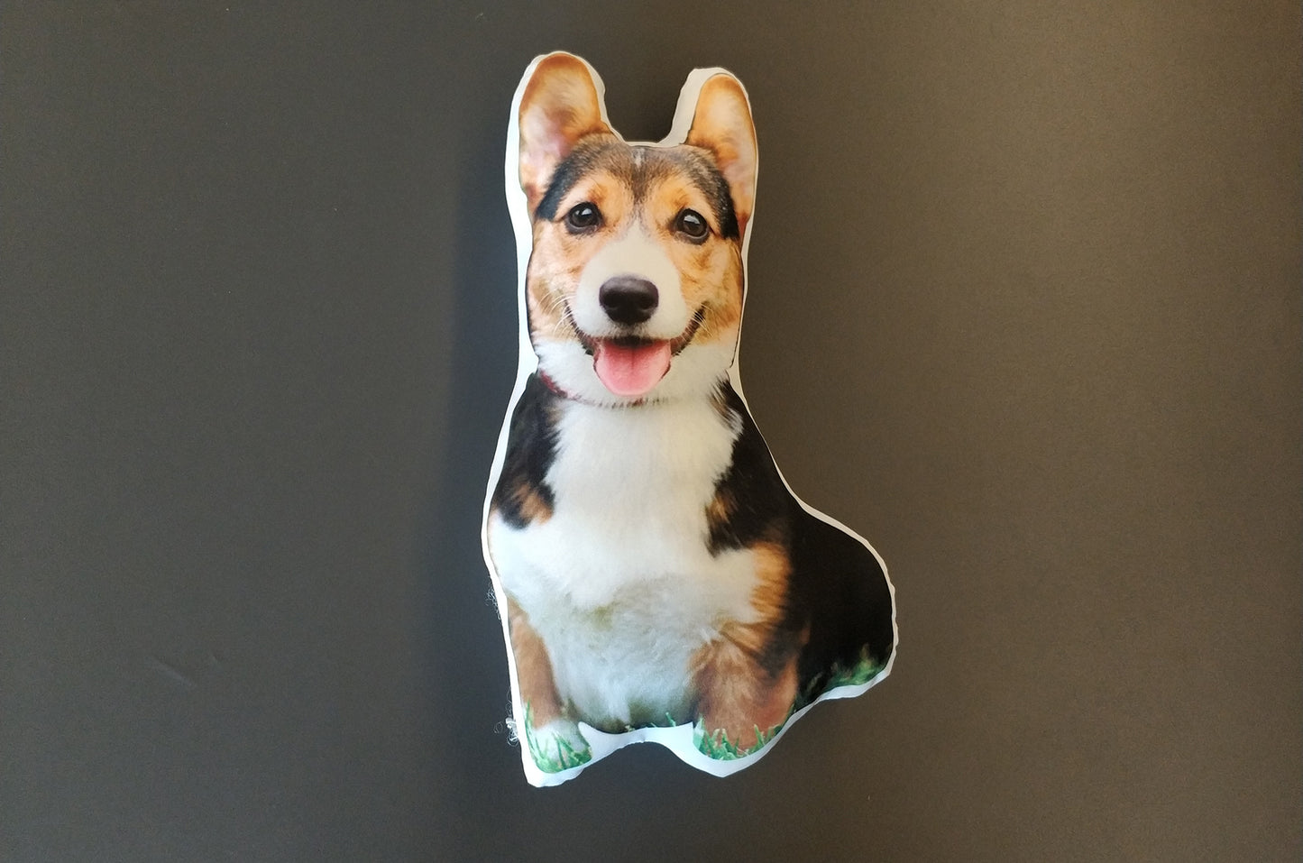 personalized pet lover gift pillows made of pet photos