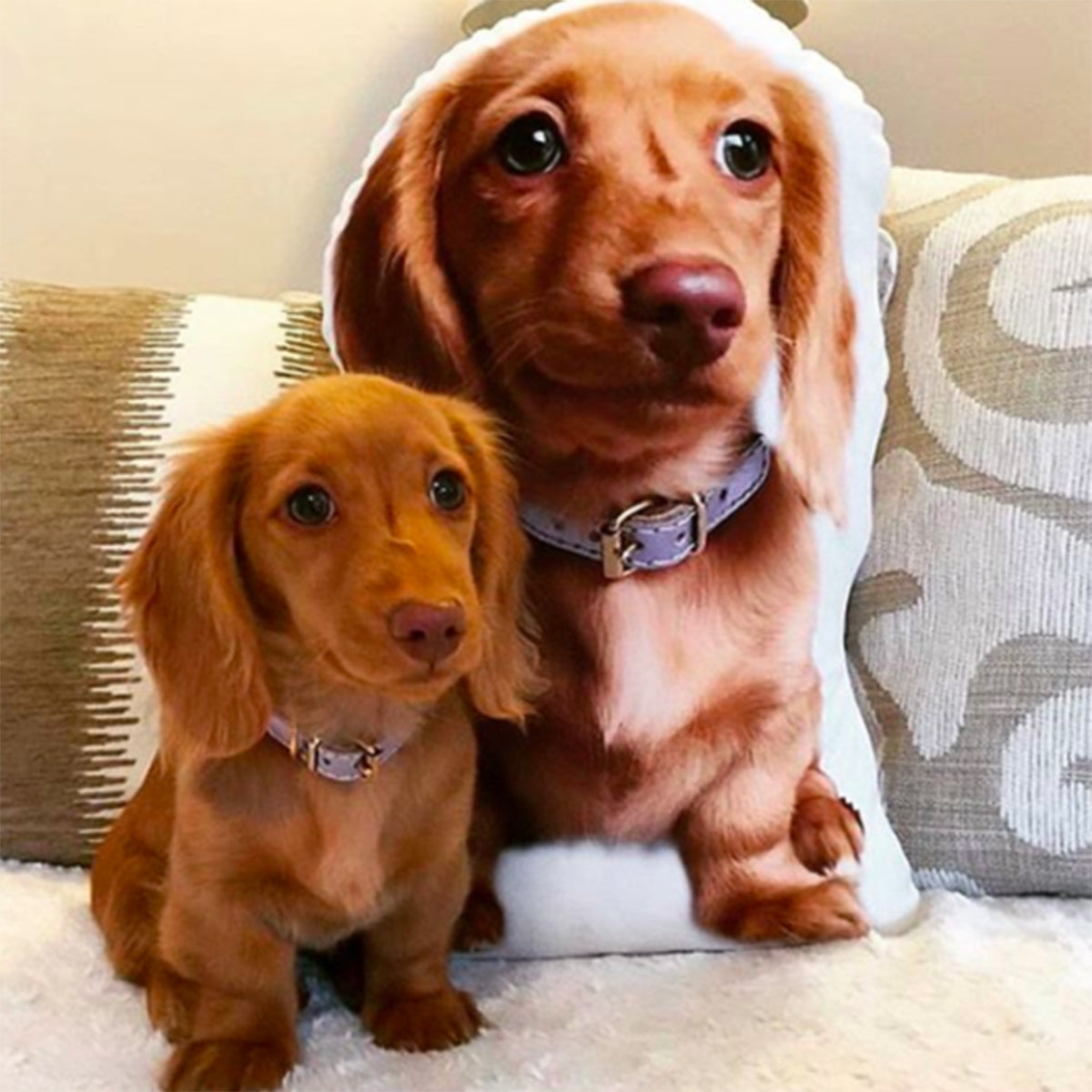 personalized pet lover gift pillows made of pet photos