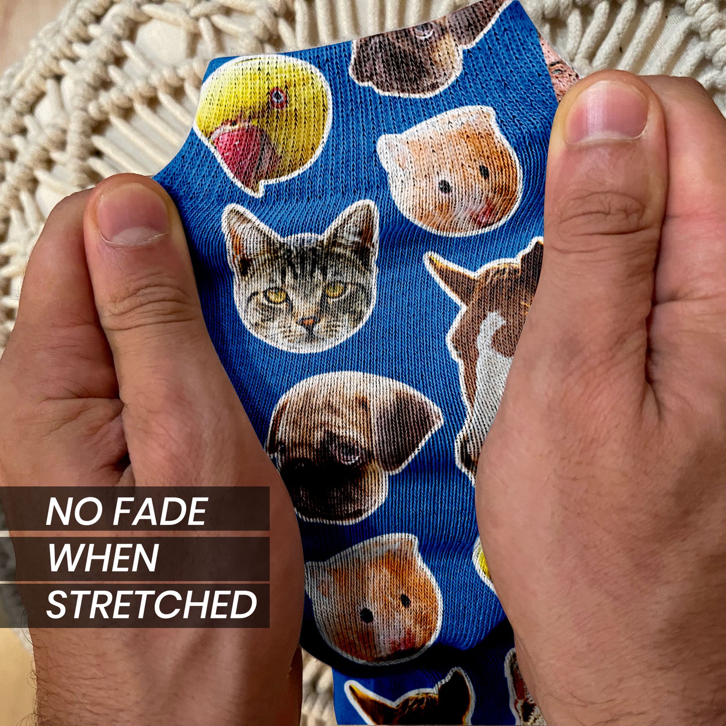 custom pet socks