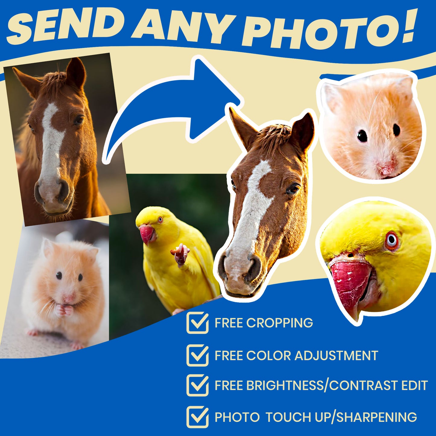 custom pet socks