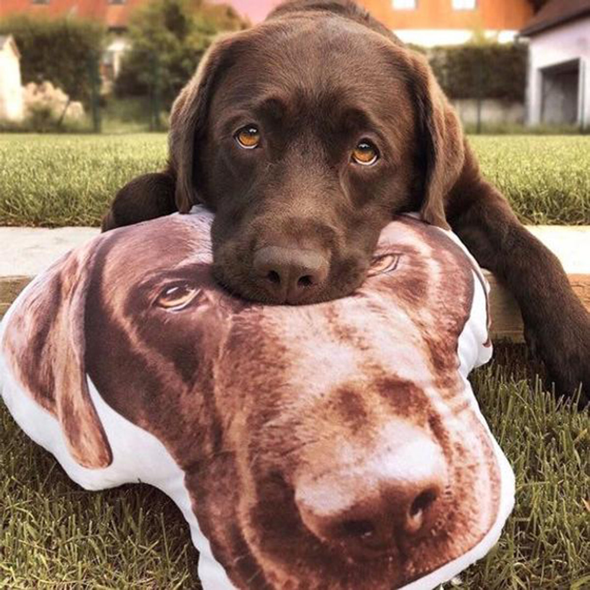 personalized pet lover gift pillows made of pet photos