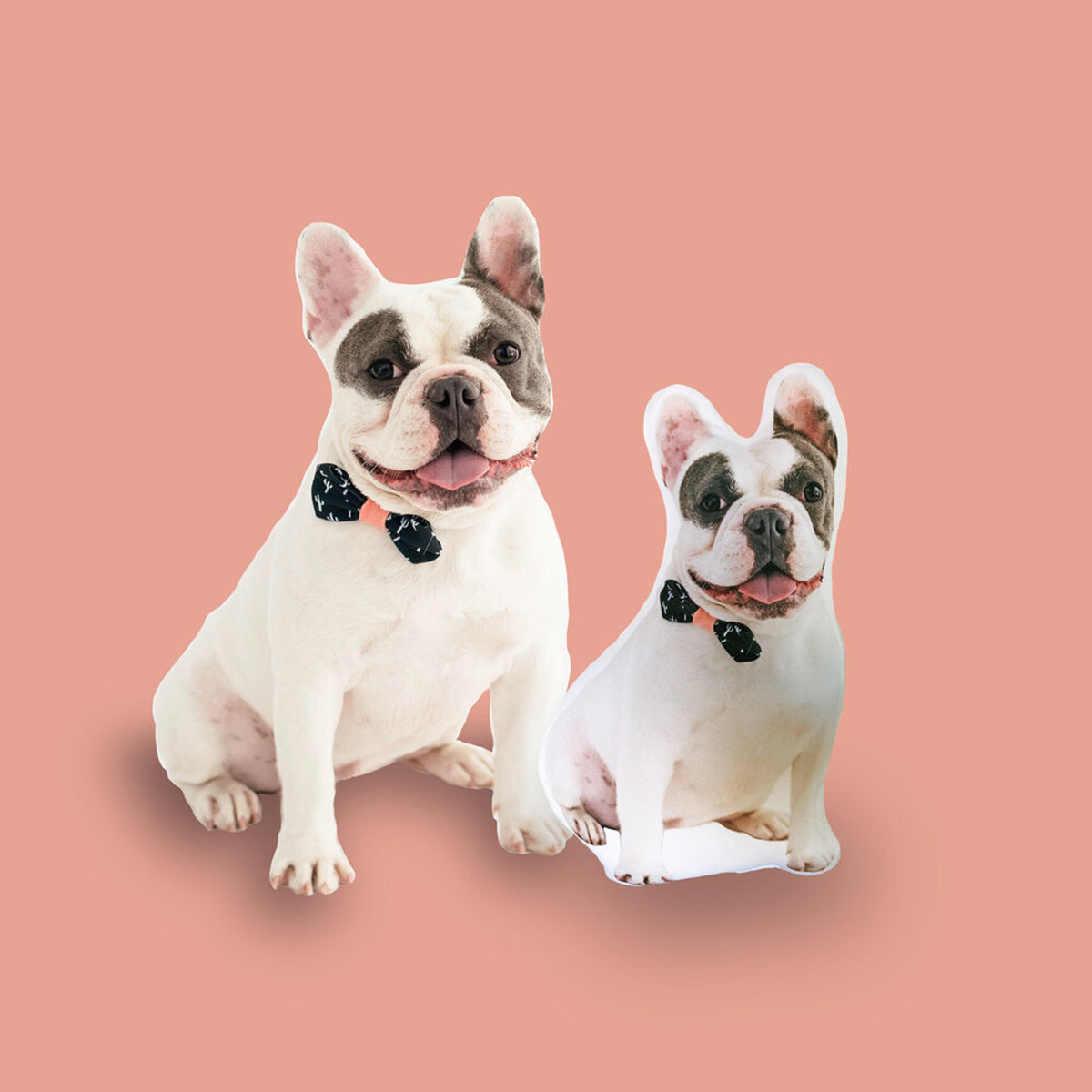 personalized pet lover gift pillows made of pet photos
