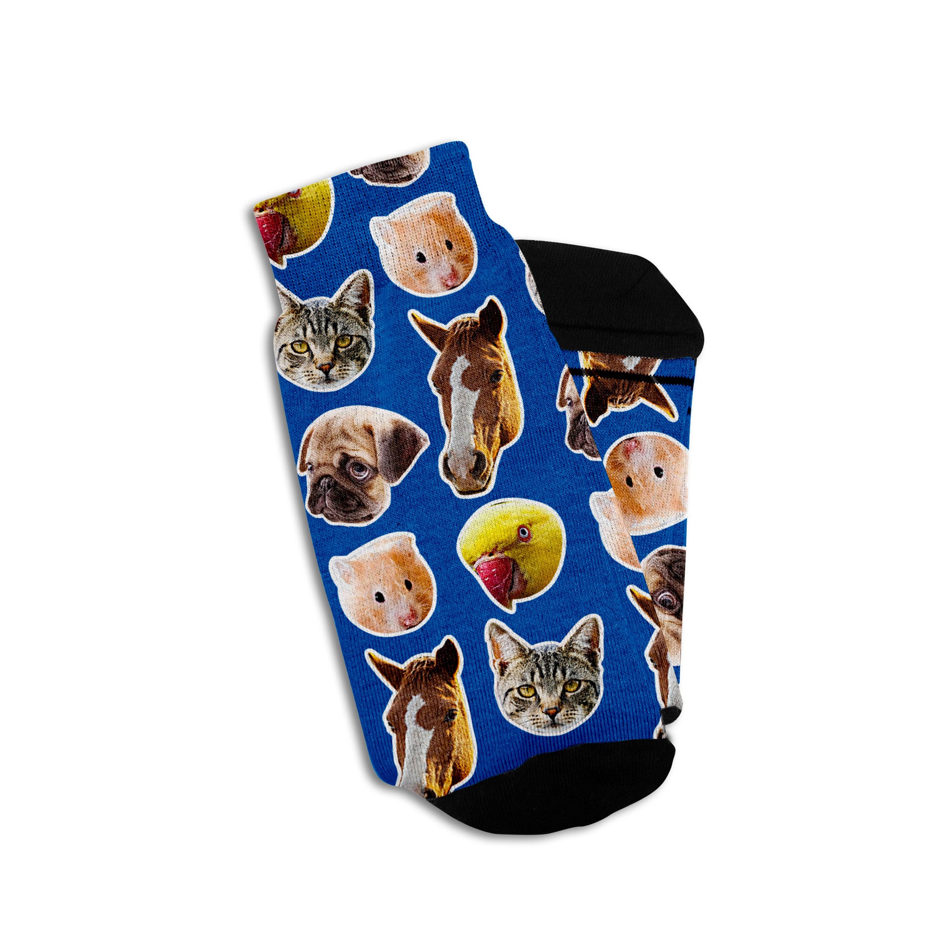 pet gift socks